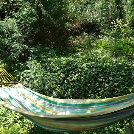 Pura Vida Bed & Breakfast Valleraugue Bagian luar foto