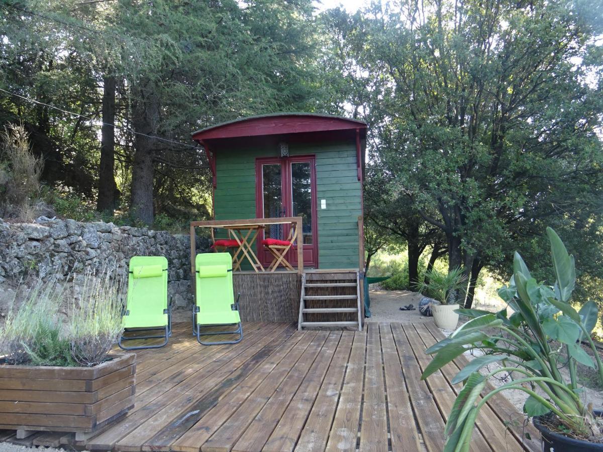 Pura Vida Bed & Breakfast Valleraugue Bagian luar foto