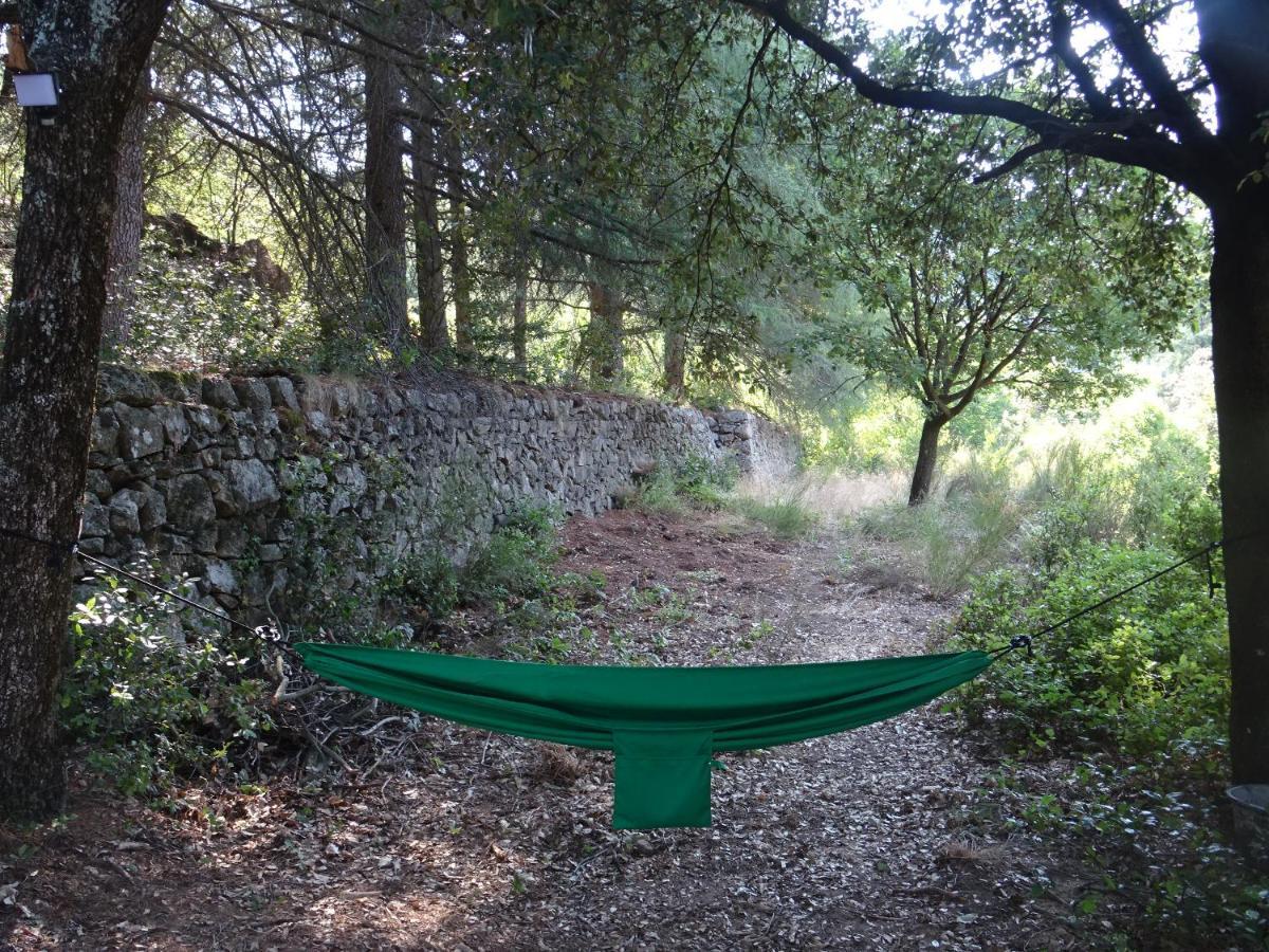 Pura Vida Bed & Breakfast Valleraugue Bagian luar foto
